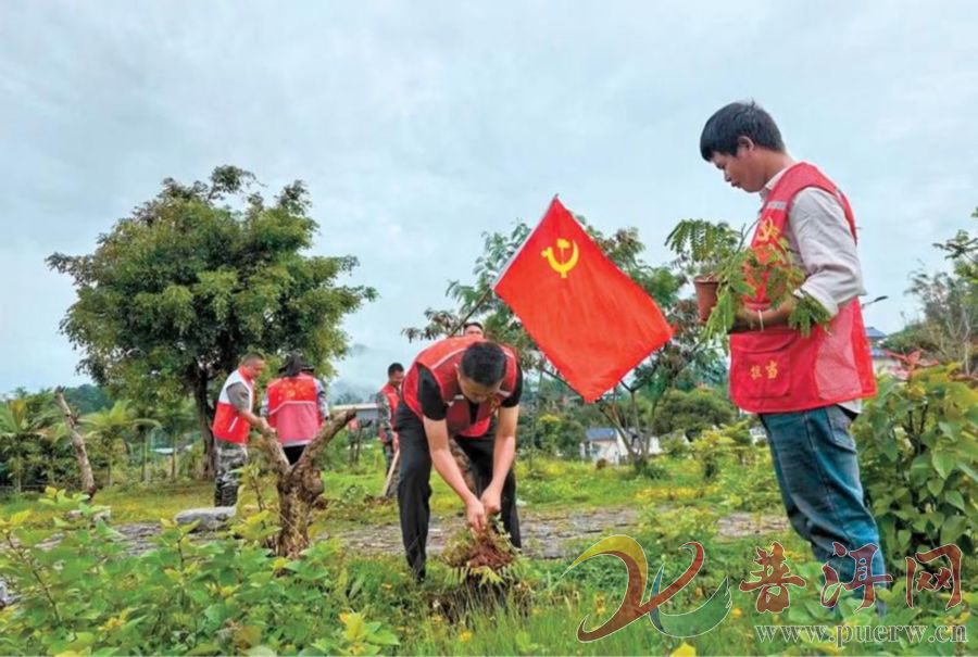 孟连县：汲取“红色力量”  绘就“千万工程”新图景